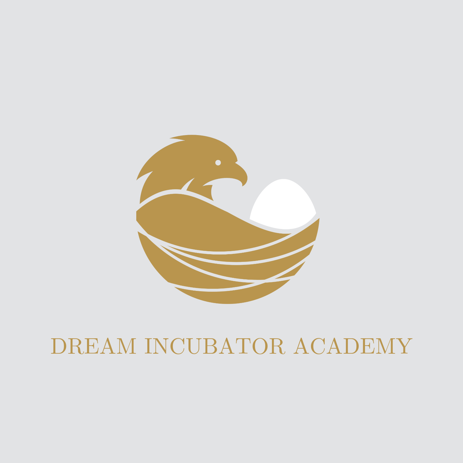 Dream Incubator Academy